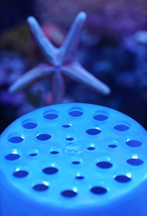 gallery/18301763_1292270277554506_3985925608490170422_n